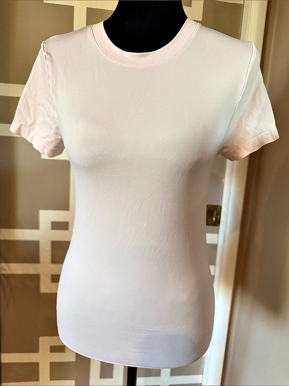 Aritzia Seamless Short Sleeve Crewneck White Medium Like New